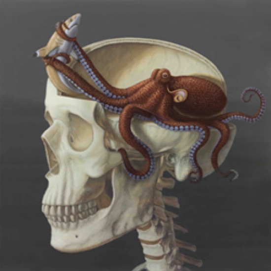 Octoskull