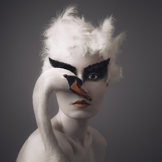 Flora Borsi - Swan