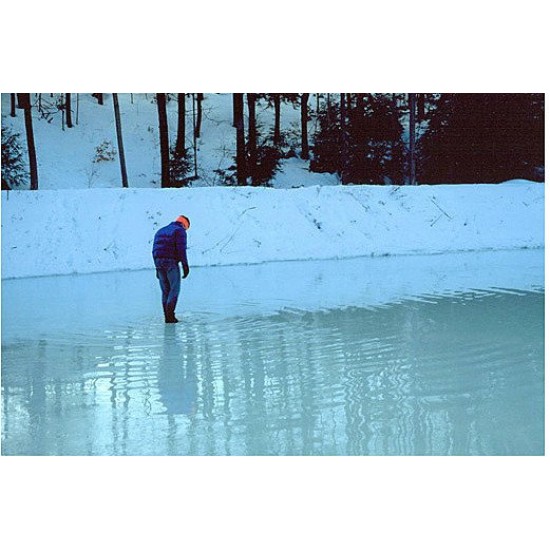 Peter Doig  Photograph 6