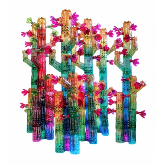 EDGARDO RODRIGUEZ  Cactus Family, 2014,